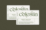 Spadore | 6 Font Files, a Serif Font by Pista Mova (Thumbnail 3 of 18)
