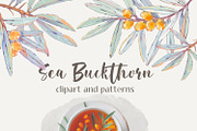 Sea buckthorn clipart and patterns, a Decorative Illustration by Shabbypie (Thumbnail 1 of 7)