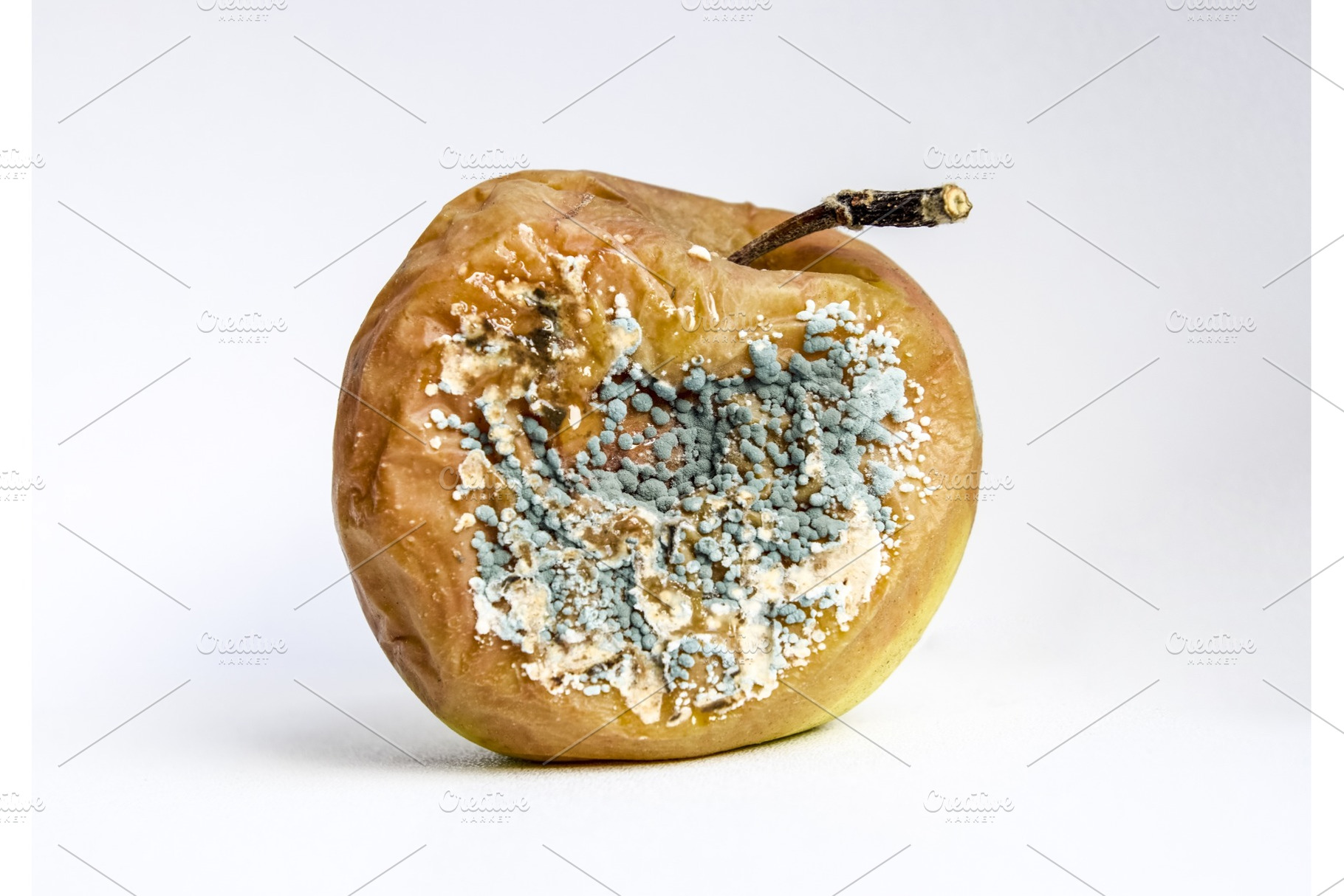 A rotten apple covered with mold stock photo containing mold and fungus, a Food & Drink Photo by ELEONIMAGES