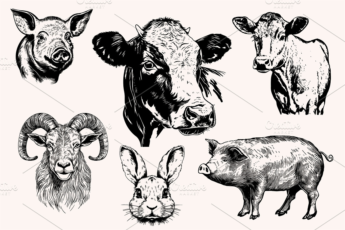 Farm Animals Collection 34 arts, a Graphic by IPVector (Photo 4 of 7)