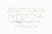 Cartis Beautyful Font Duo, a Serif Font by ToniStudio (Thumbnail 13 of 14)