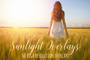 Sunlight Photoshop Overlays