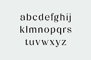 Quack Grandeur Serif Dislay Font, a Serif Font by UICreative (Thumbnail 4 of 13)