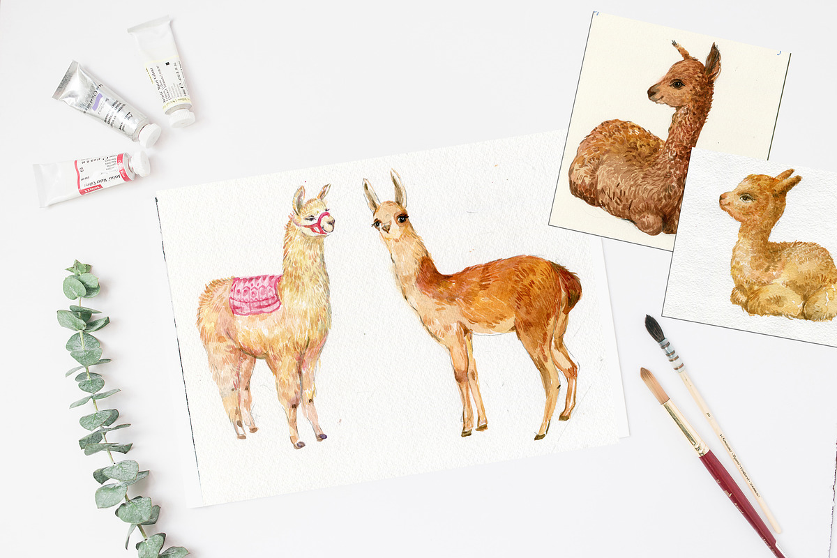 Alpacas and llamas .watercolor, an Animal Illustration by MitrushovaArt (Photo 5 of 7)