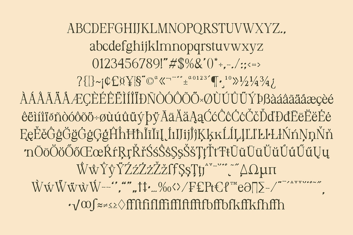 DT Morelish - Serif Display, a Serif Font by Dryy.type (Photo 10 of 12)