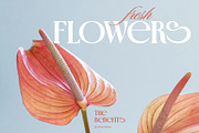 Crown Majestic Elegant Serif Font, a Serif Font by Heinzel Std (Thumbnail 12 of 18)