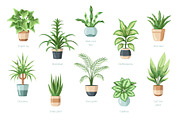 Beautiful House Plants In Pots, a Decorative Illustration by Art Design (Thumbnail 2 of 7)