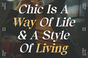 Felonia – Classic Serif, a Serif Font by Craft Supply Co. (Thumbnail 4 of 8)