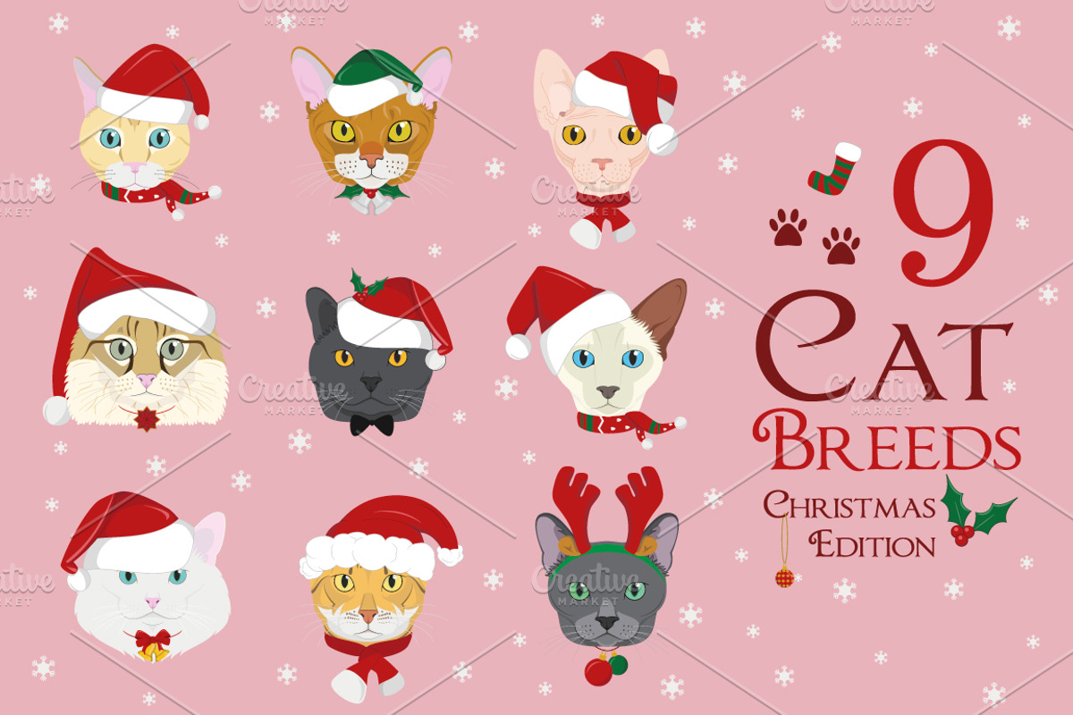 Christmas 9x Cat Breeds, an Animal Illustration by asantosg (Photo 1 of 10)