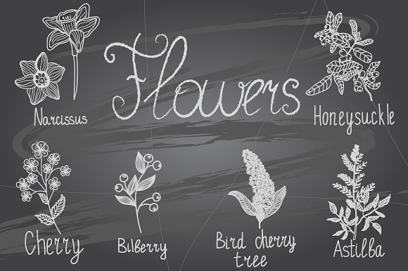 Sketches Of Flowers On Chalkboard