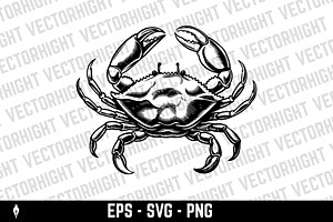 illustration of crab. Seafood, an Animal Illustration by Vectorhight