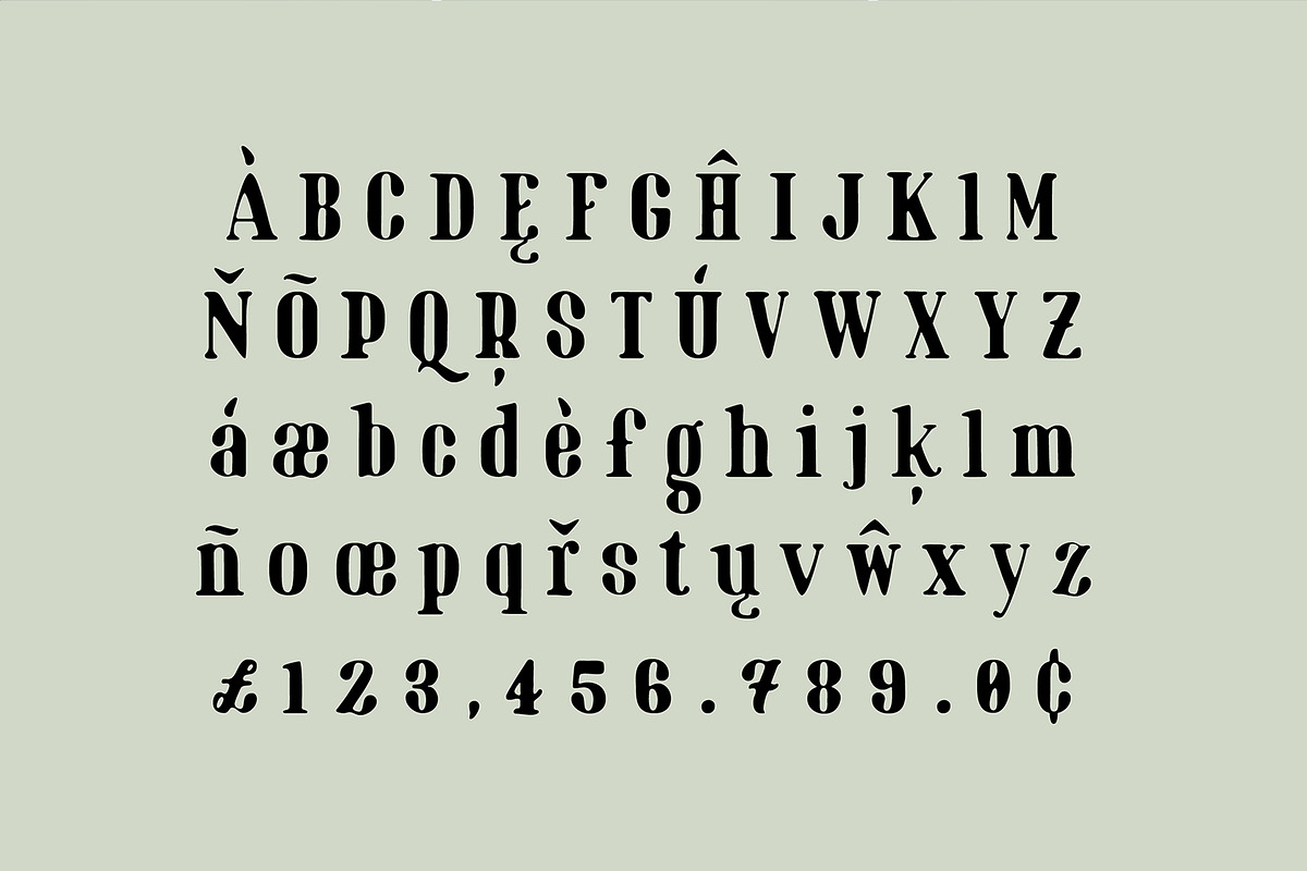 Marinaio Family + Ornaments, a Serif Font by Hederae Type Foundry (Photo 9 of 11)
