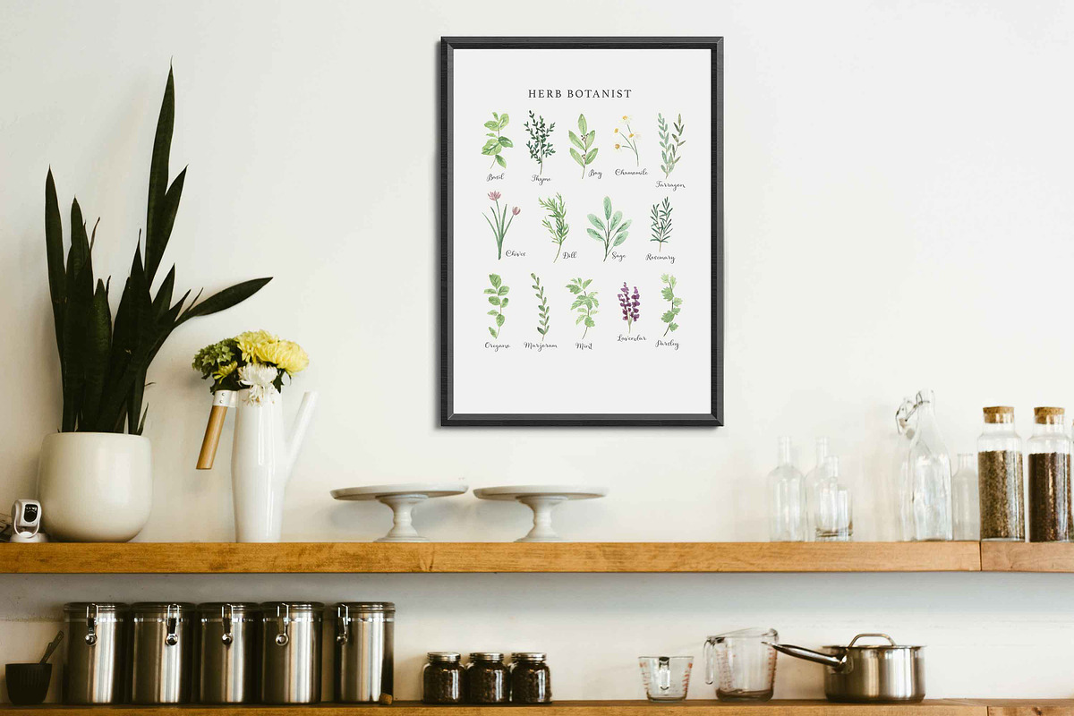 HERB BOTANIST watercolor clipart, a Decorative Illustration by Momo Studio (Photo 6 of 15)