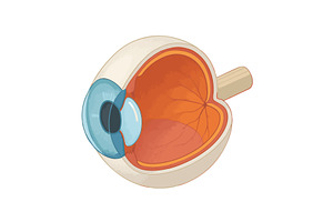 Isometric diagram of human eye, a Healthcare Illustration by AlexArt