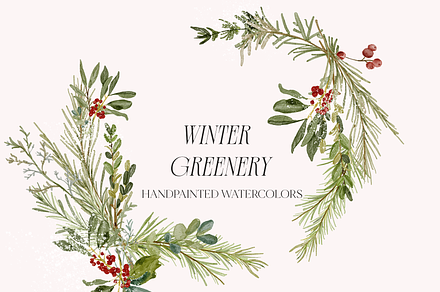 Winter Christmas Greenery Collection, a Decorative Illustration by Grace Noboa Illustrations