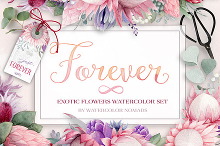 Exotic Watercolor Flowers Collection