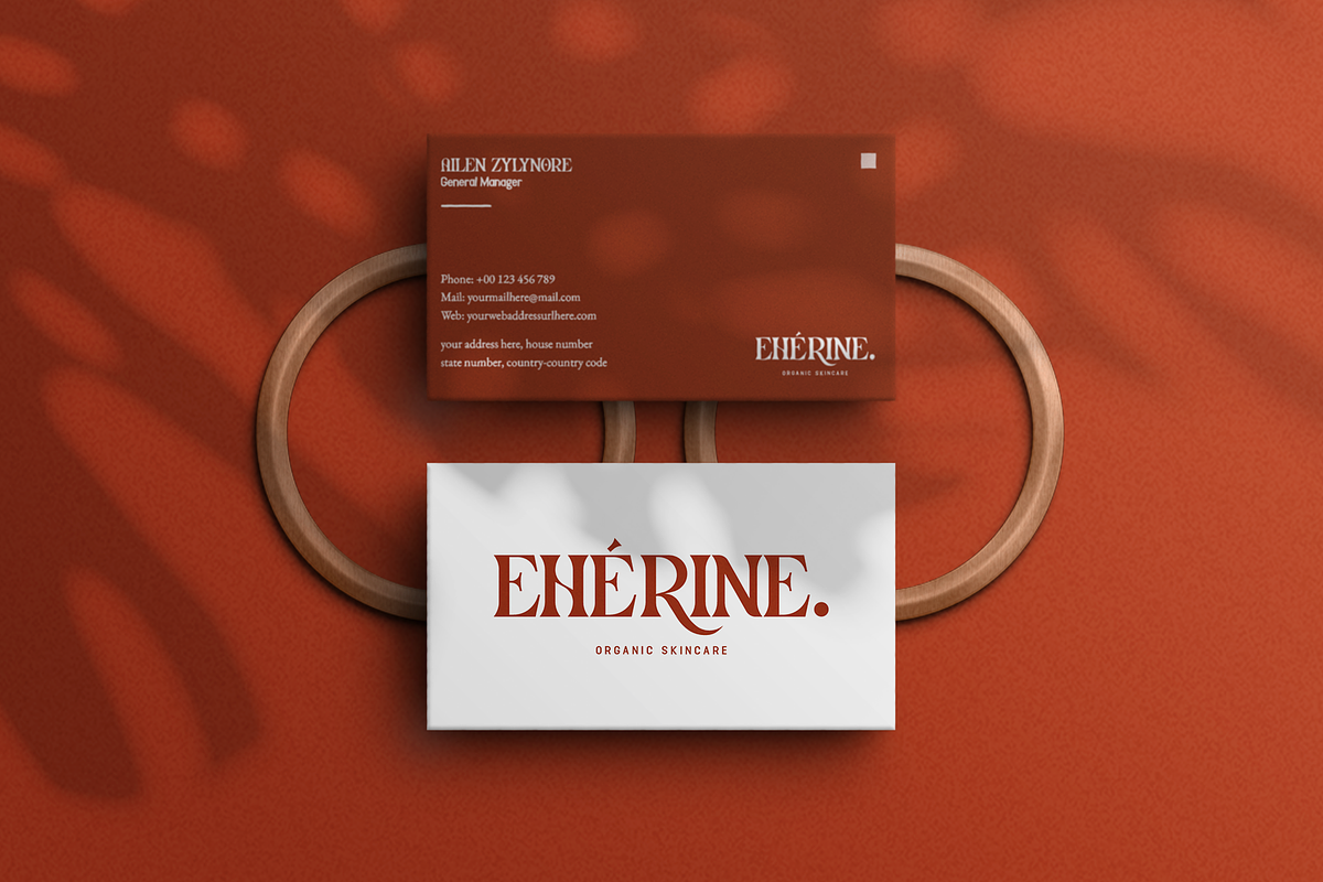 Clarissa Font- Modern Serif Typeface, a Serif Font by overlaytemplates (Photo 3 of 5)