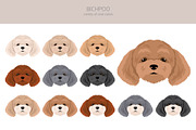 Bichpoo (Bichon Frise Poodle mix), an Animal Illustration by pet design shop (Thumbnail 5 of 6)