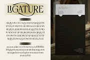 Desevon, a Serif Font by Burntilldead (Thumbnail 6 of 11)