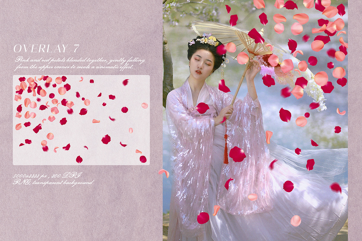 Multicolored Rose Petals Overlays, a Texture Graphic by Kaleriia (Photo 8 of 16)