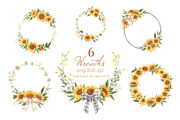Sunflower Blooming Watercolor, an Object Illustration by CreativeValuation (Thumbnail 4 of 15)