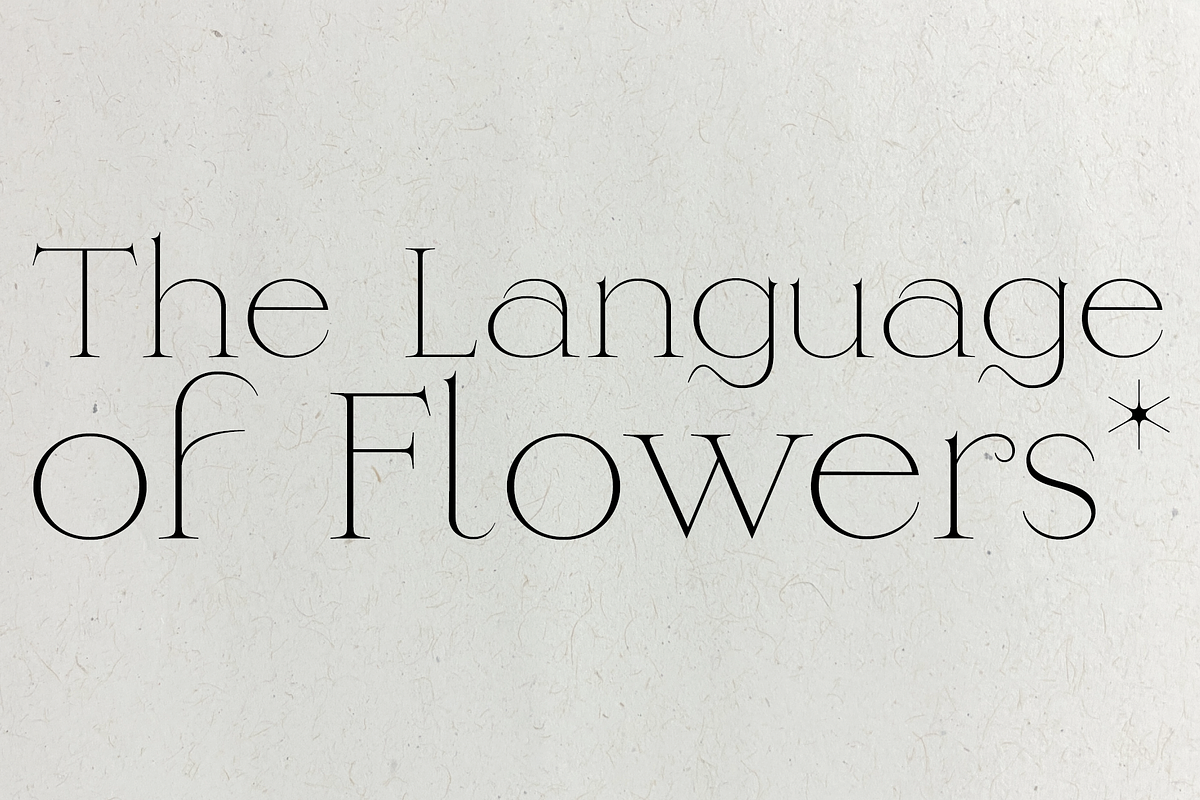 Heartstring, a Serif Font by Lost Letters Foundry (Photo 5 of 5)
