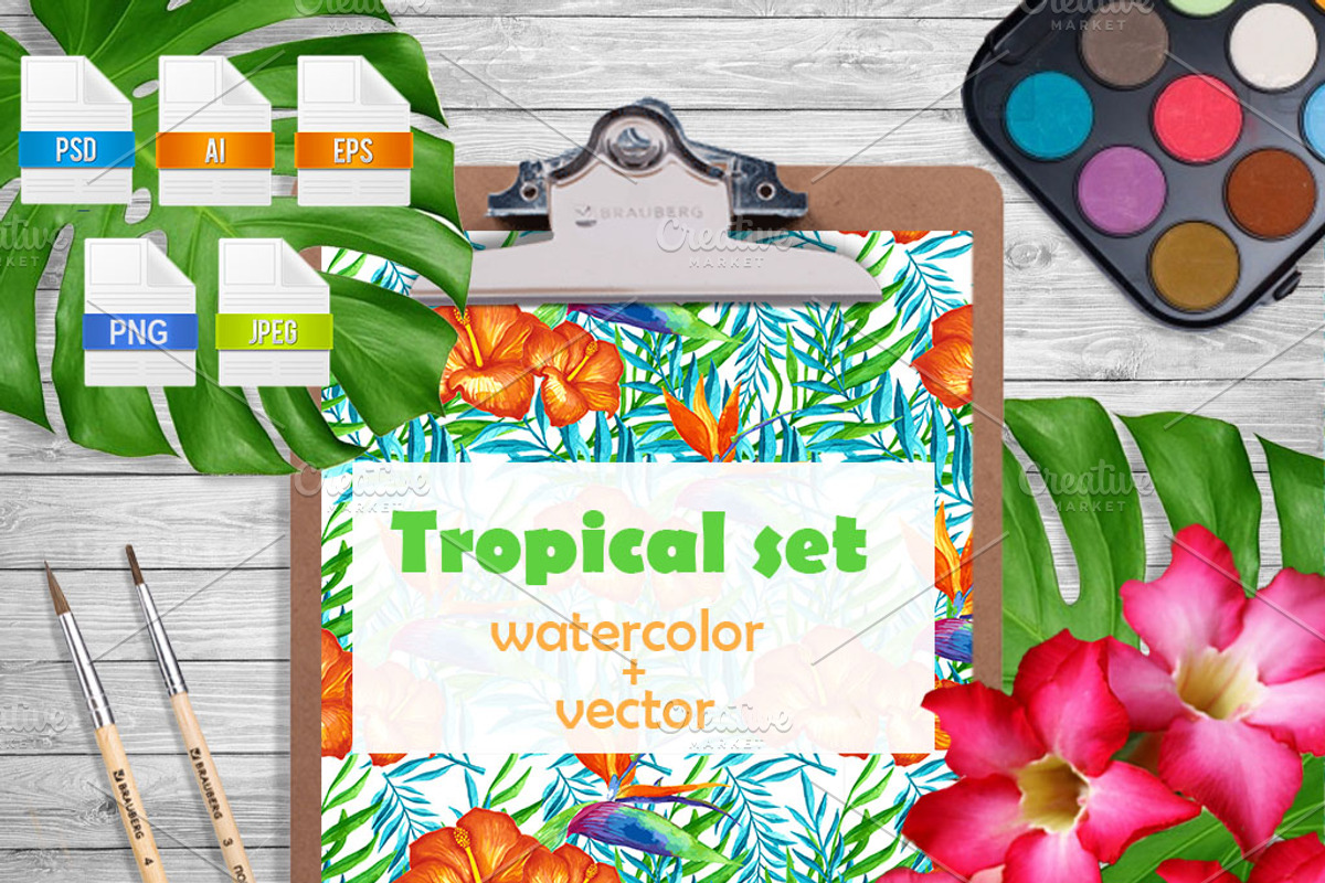 Tropical large set.Watercolor vector, a Pattern Graphic by moto_cat (Photo 1 of 4)