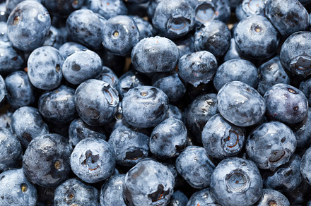 fresh blueberries can be eaten raw, a Photo by MyPhotos
