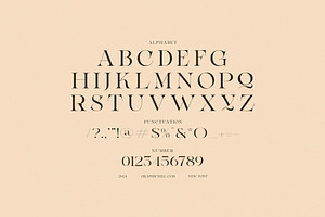 Mecro Elegant Serif Font