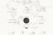 Botanical Alphabet & Monograms., a Decorative Illustration by Designwork (Thumbnail 13 of 18)