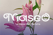 Mallesi Modern Sans, a Sans Serif Font by 160 Studio (Thumbnail 9 of 13)
