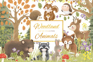 Woodland Animals Clip Art Collection