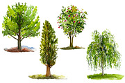 Set of 12 watercolor trees, an Illustration by Salvadorova (Thumbnail 3 of 3)
