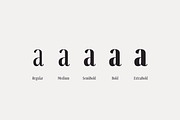 Svelte; Condensed Serif Family, a Serif Font by Eko Bimantara (Thumbnail 4 of 6)