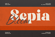 Qeica - Font Duo Typeface, a Serif Font by MaikoHatta (Thumbnail 4 of 10)