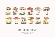 Watercolor Mushrooms, a Food Illustration by PeDe Designs (Thumbnail 5 of 6)