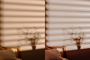 20 Neutral Lightroom Presets, a Preset Add-On by RamsaGraphi (Thumbnail 7 of 9)