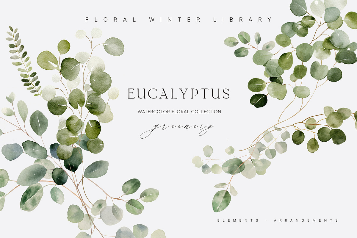 FLORAL WINTER BOX Watercolor Bundle, a Seasonal Illustration by Muse Artist (Photo 58 of 95)