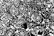Frenzy Vol 1, a Texture Graphic by Jennifer Lauren Creative (Thumbnail 6 of 16)