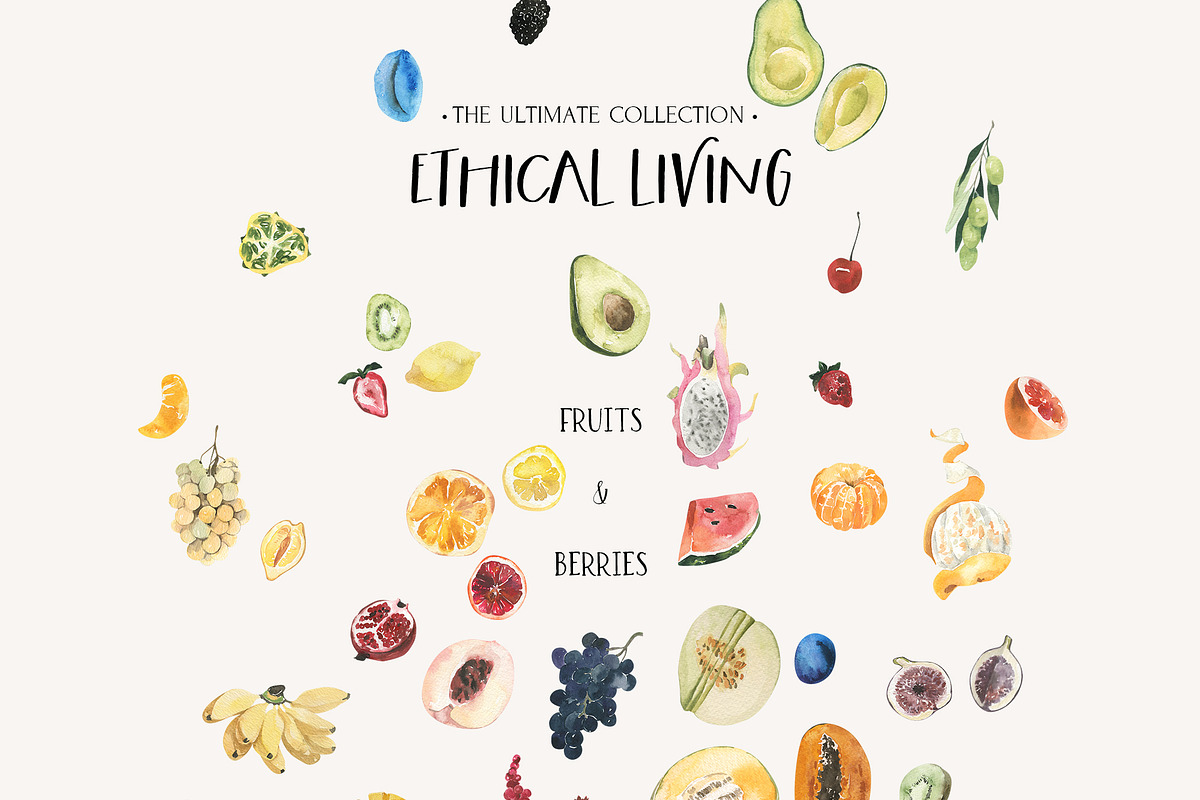 ETHICAL LIVING vegan & eco lifestyle, a Healthcare Illustration by Lana Elanor (Photo 10 of 28)