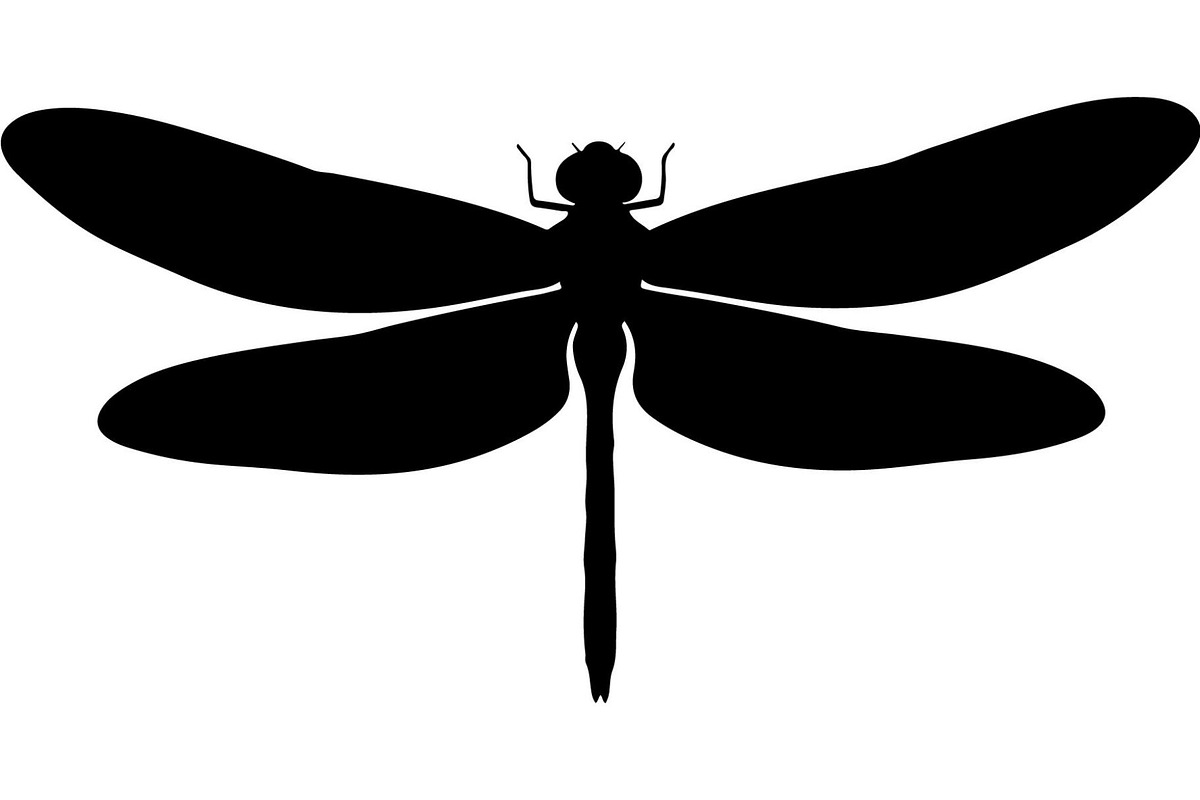 Dragonfly Silhouette, an Object Graphic by Designer_Momina (Photo 14 of 20)