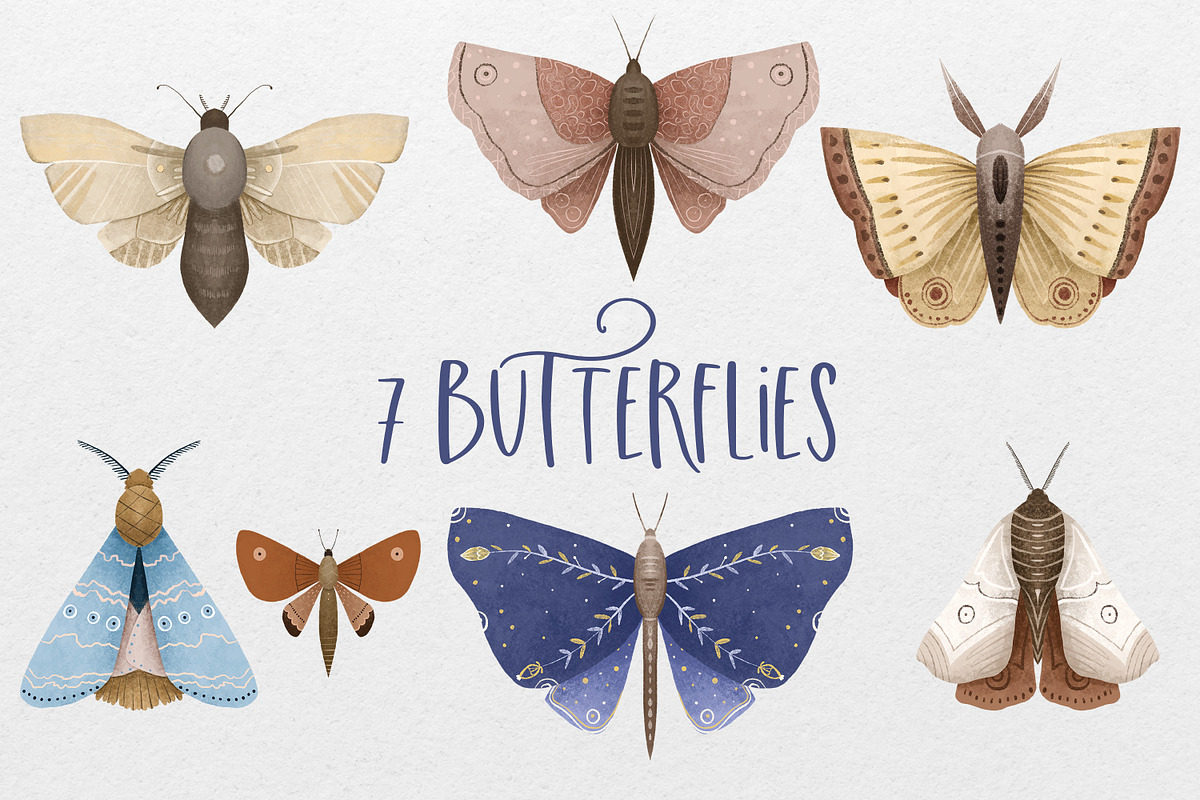 Hand-drawn Butterfly & Moon Moth, an Animal Illustration by the_myro (Photo 2 of 5)