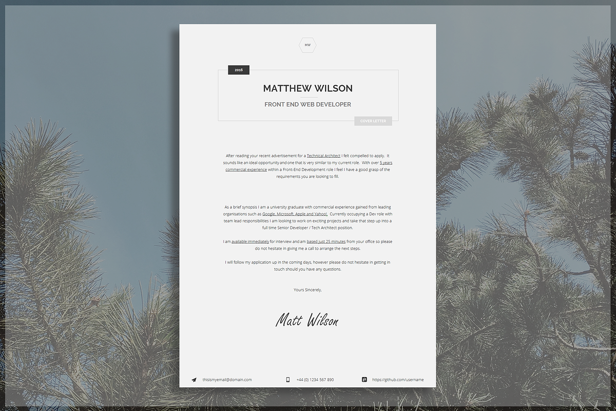 Web Developer CV / Technical Resume, a Resume Template by introDuice - CV / Resumes (Photo 4 of 7)