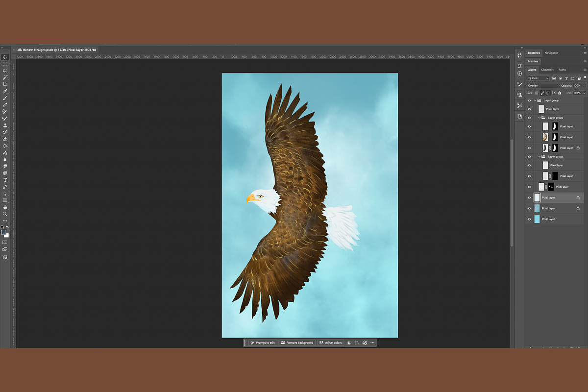 Flying Bald Eagle Illustration, an Animal Illustration by AMMi (Photo 5 of 6)