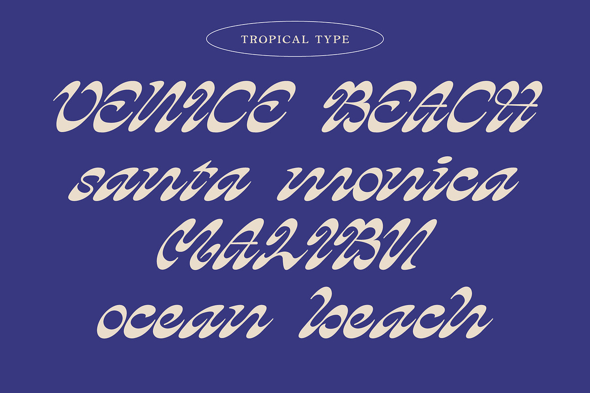 HEYDAY DISPLAY FONT, a Script Font by Tropical Type (Photo 4 of 11)