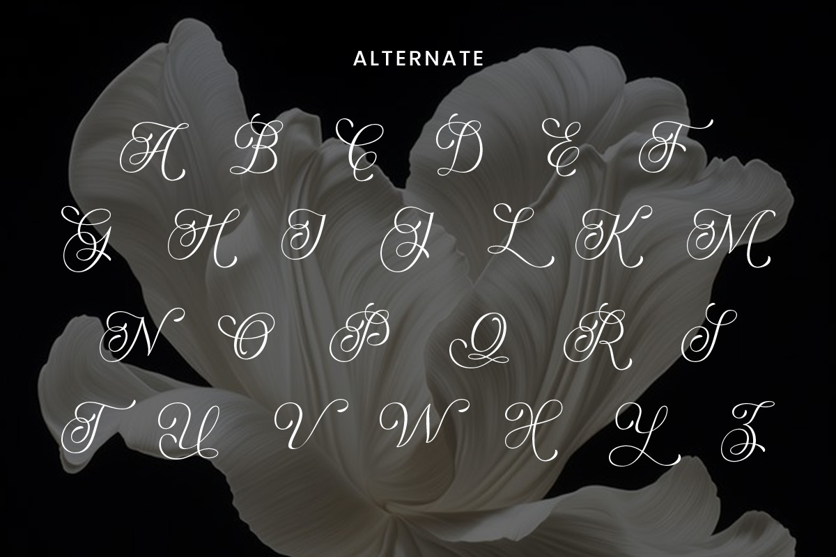 BrikeyMoura–Timeless Aesthetic Serif, a Font by roomspace creative lab (Photo 5 of 12)