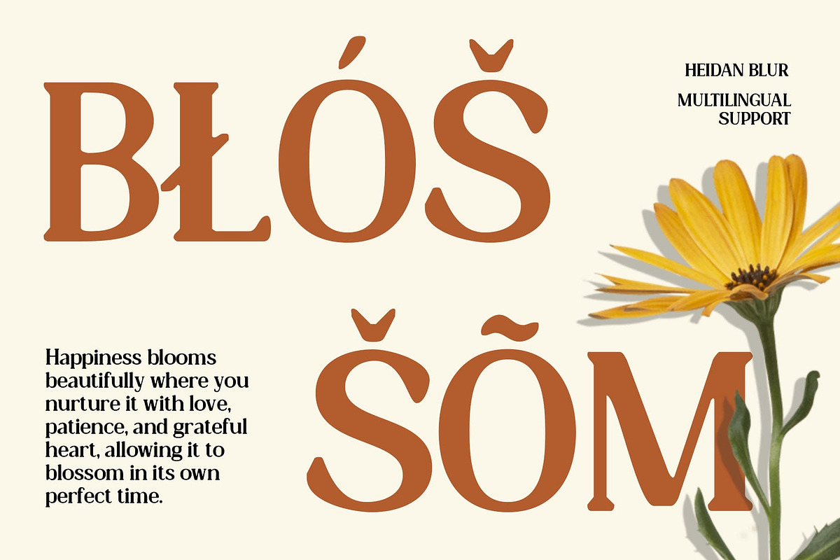 Heidan Blur, a Serif Font by Craft Supply Co. (Photo 3 of 8)