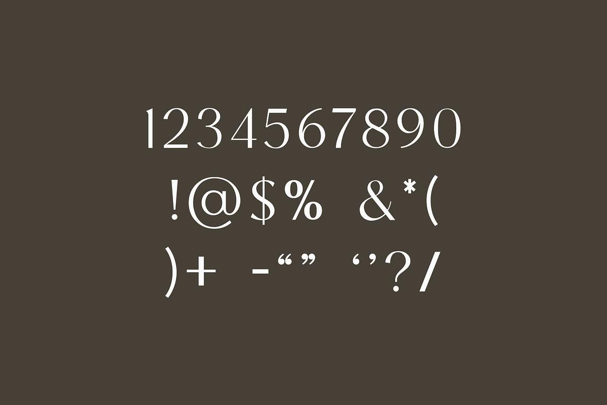 Facelio Modern Stylish Sans Serif, a Sans Serif Font by UICreative (Photo 9 of 13)