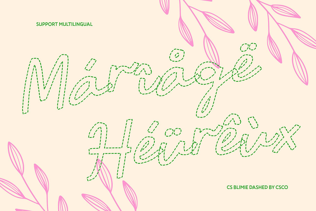 CS Blimie Dashed, a Script Font by Craft Supply Co. (Photo 7 of 8)