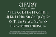 Ciparay, a Serif Font by HATFSTUDIO (Thumbnail 8 of 9)